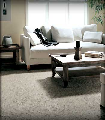 Carpet store - Lakeland, Ocala, Ormond Beach, Savannah, Tallahassee