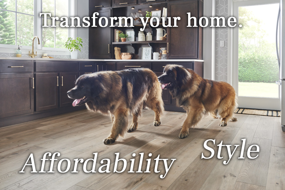 Transform your home.